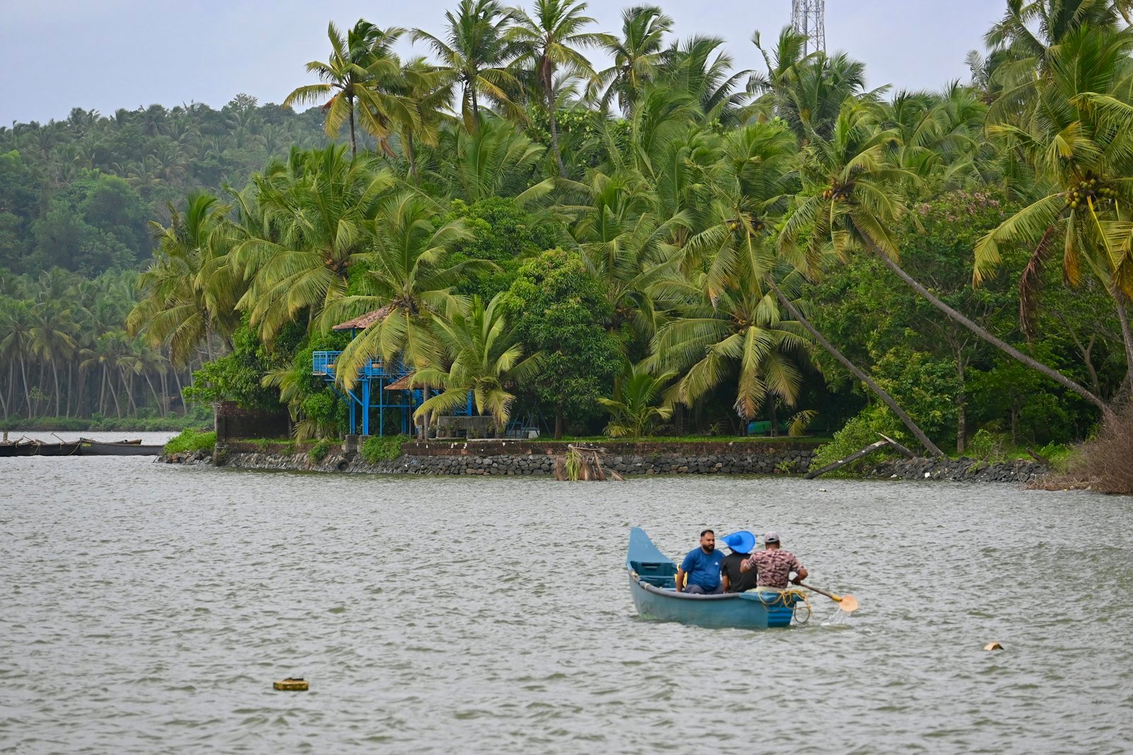 Backwaters near Kannur, Kerala — where Veinbit is based